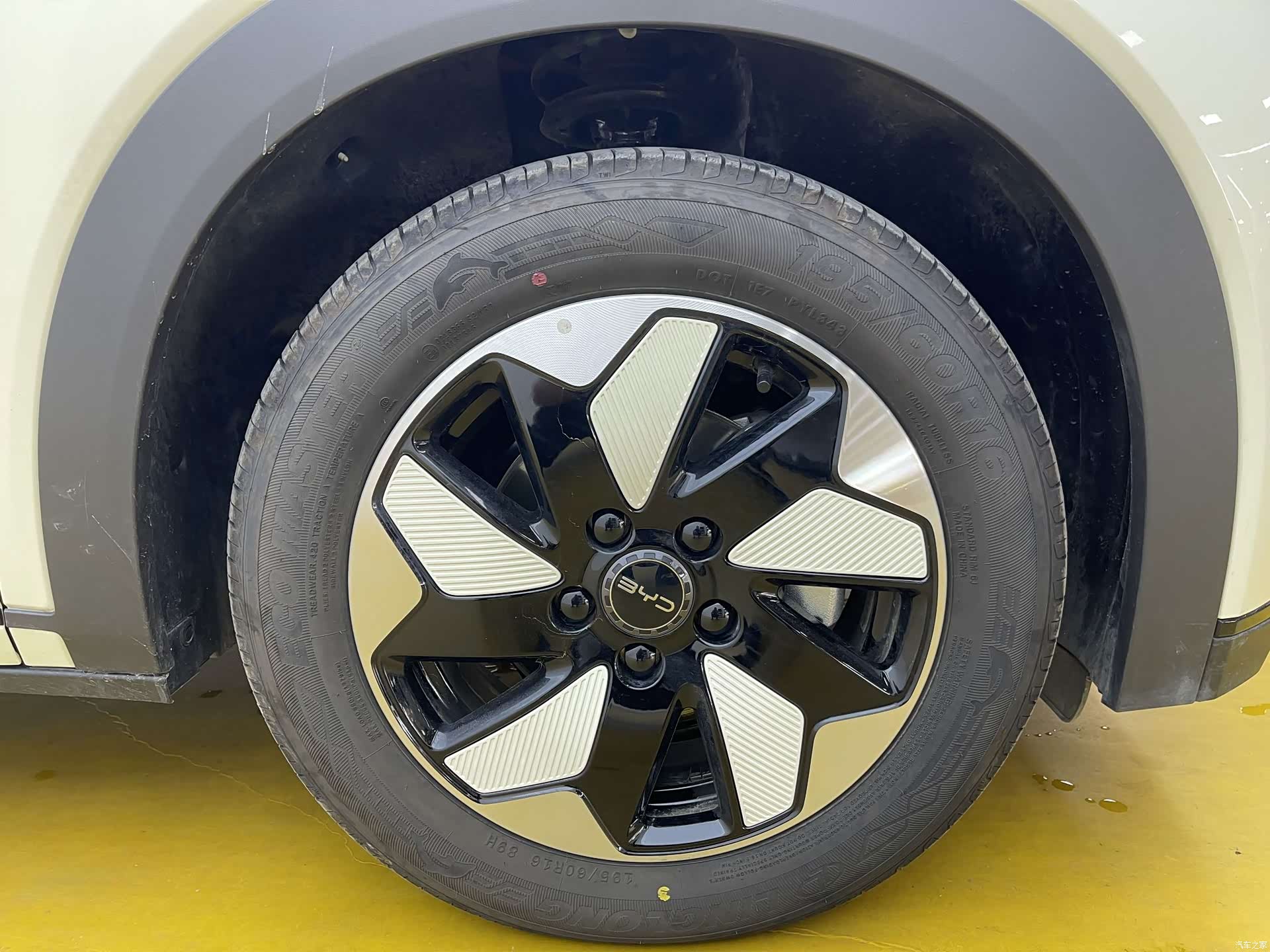 BYD Dolphin, 2026 10