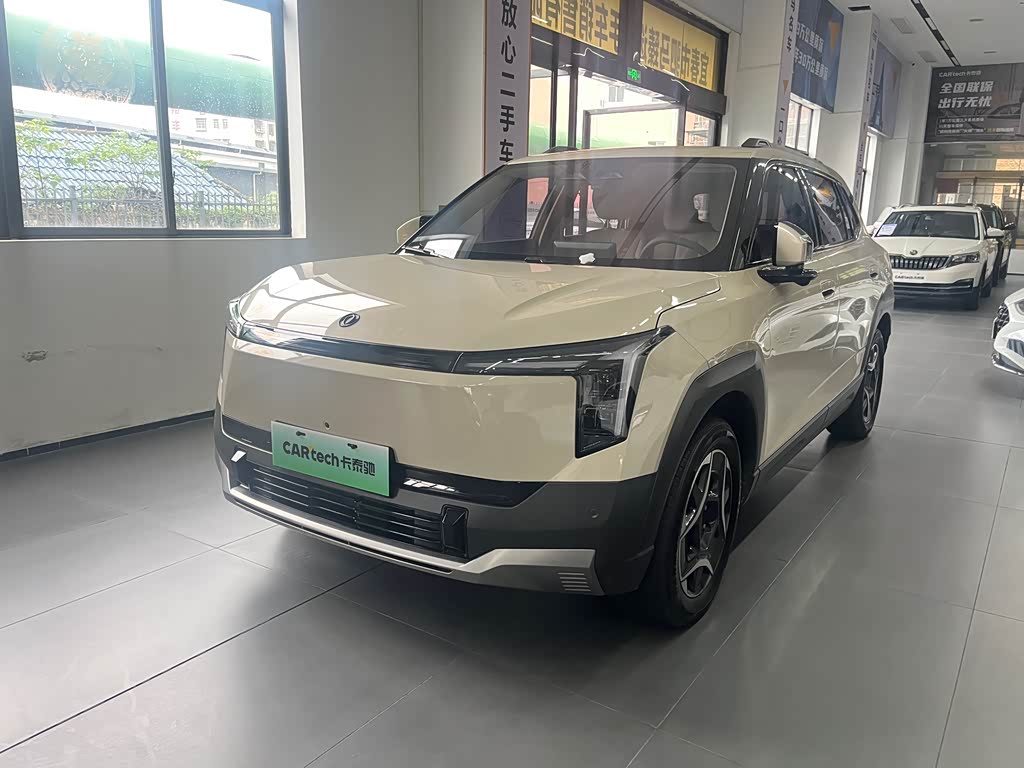 Dongfeng 06
