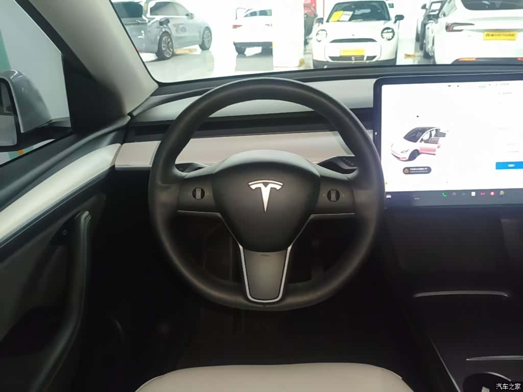 Tesla Model Y, 2021 10