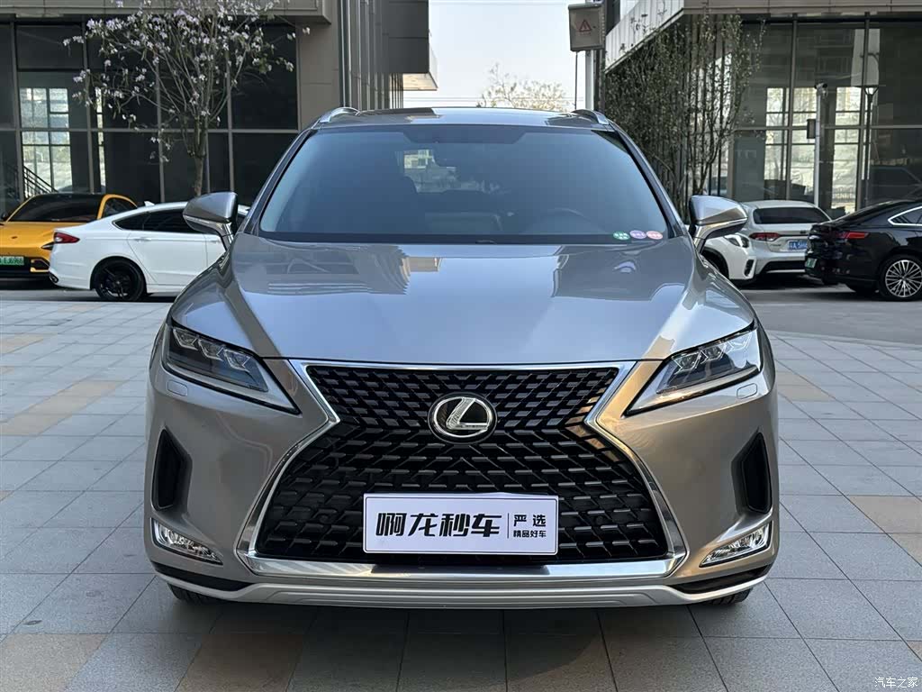 Lexus RX, 2022 4