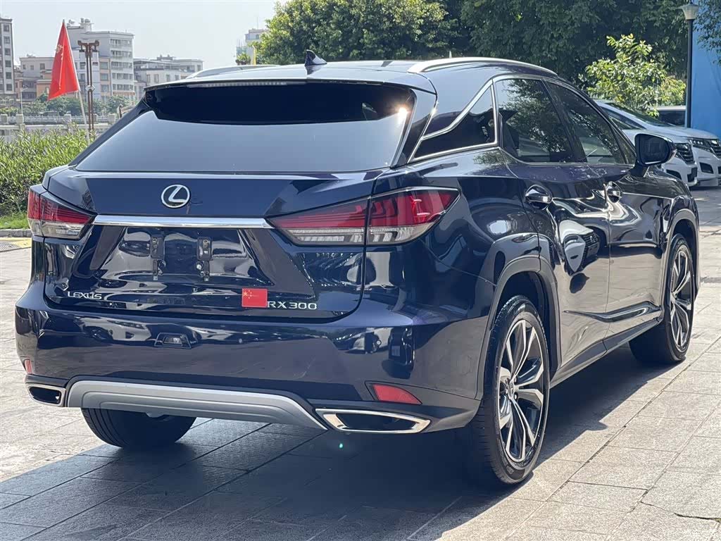 Lexus RX, 2022 6