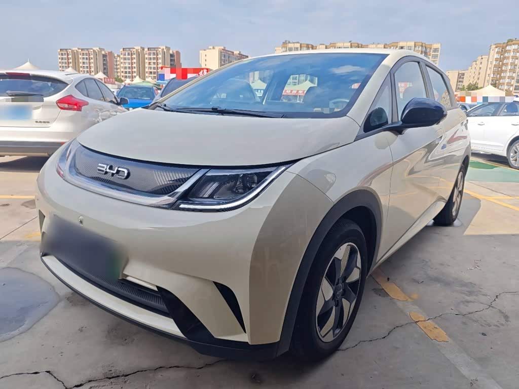 BYD Dolphin 2025 420km Freedom
