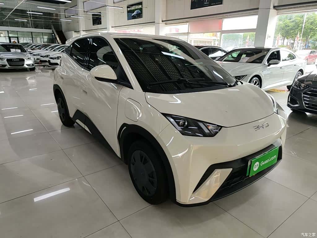 BYD Seagull, 2024 4