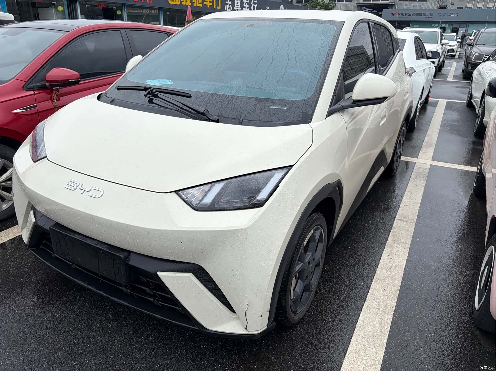 BYD Seagull, 2024 1
