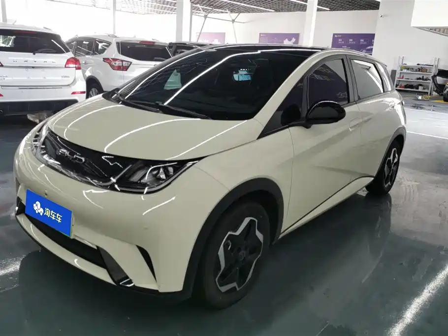 BYD dolphin