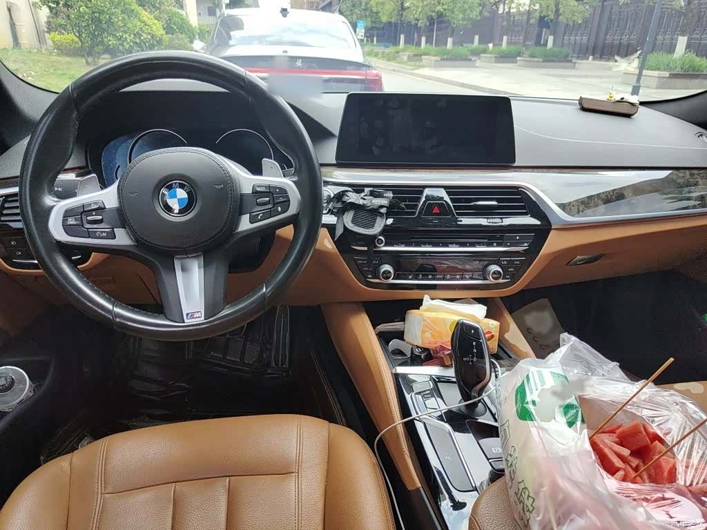 BMW 5 Series, 2017 13