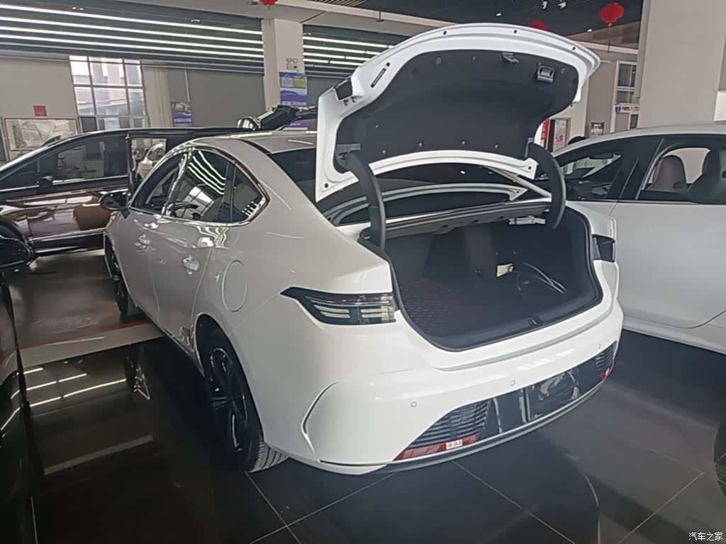 BYD Destroyer 05, 2023 все фото