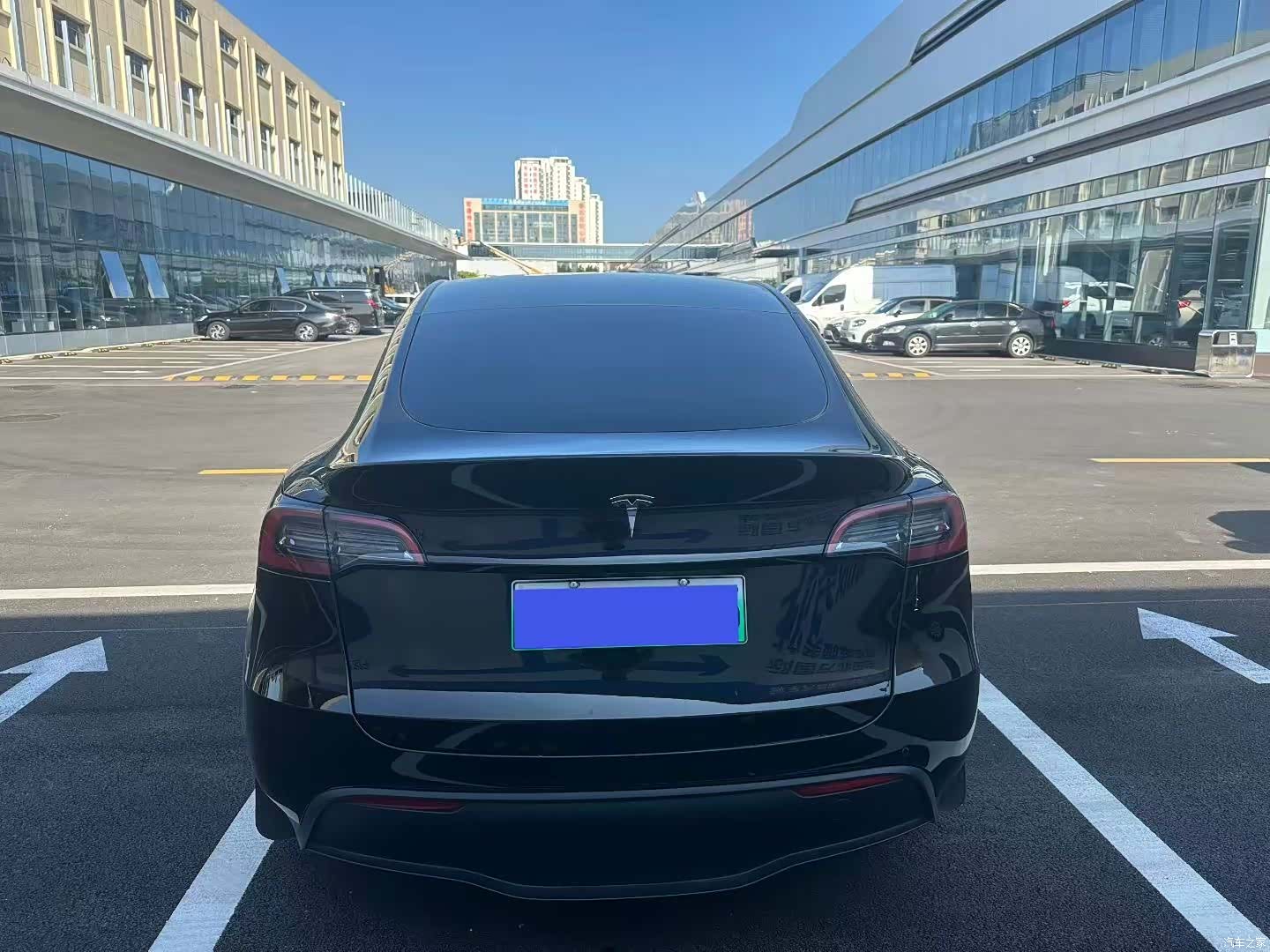 Tesla Model Y, 2023 все фото