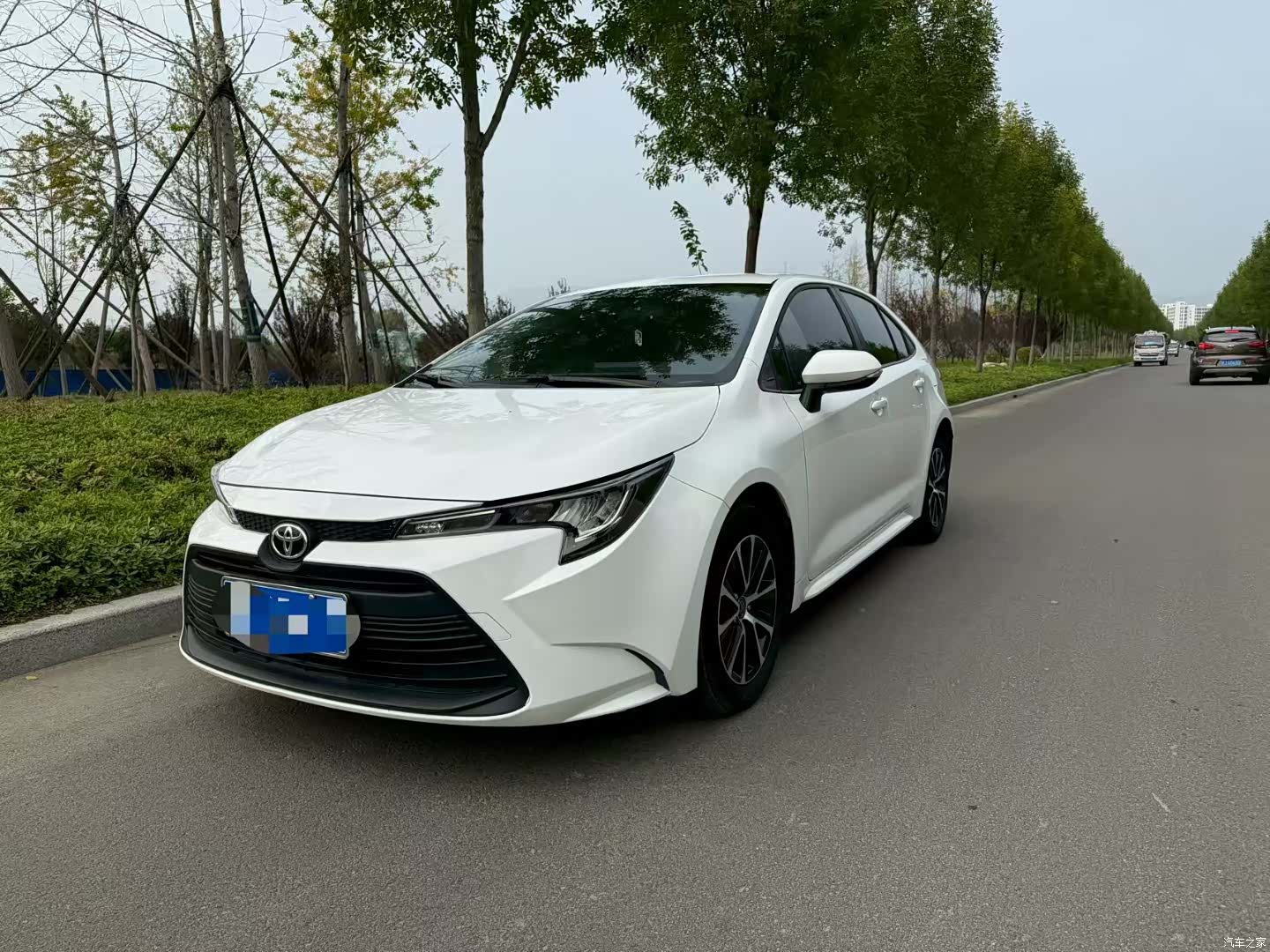 Toyota Levin