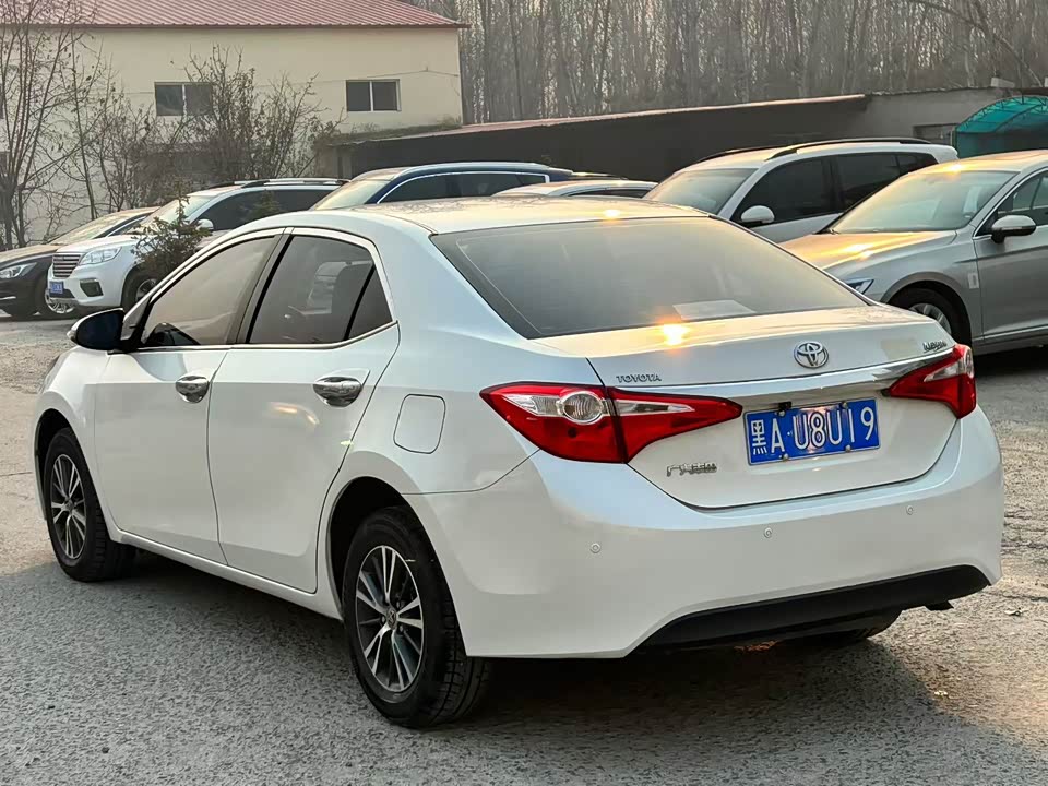 Toyota Lei Ling