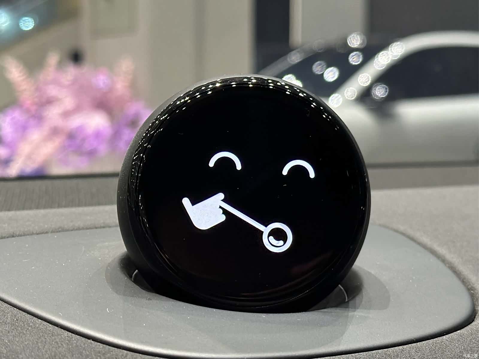 NIO EC6, 2024 23