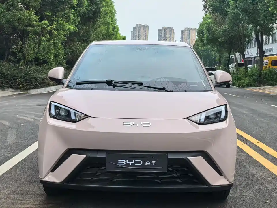 BYD Seagull