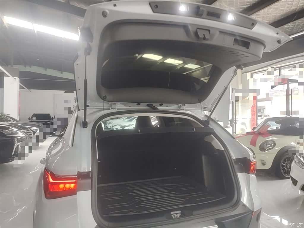 BYD Yuan, 2024 19
