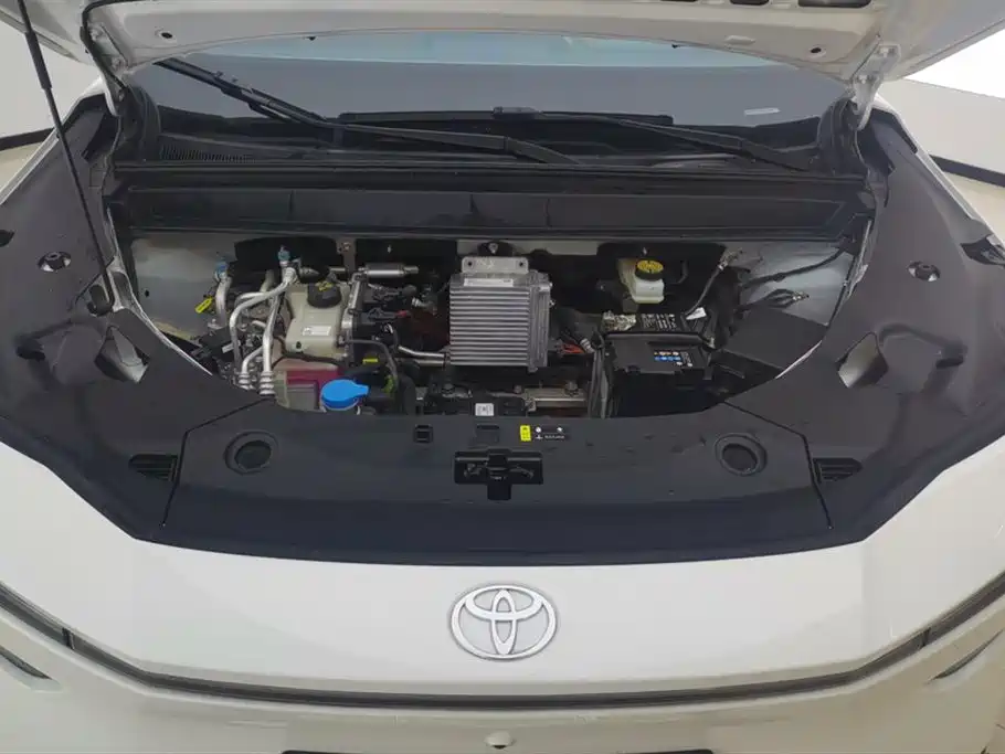 Toyota Platinum Wisdom 3X