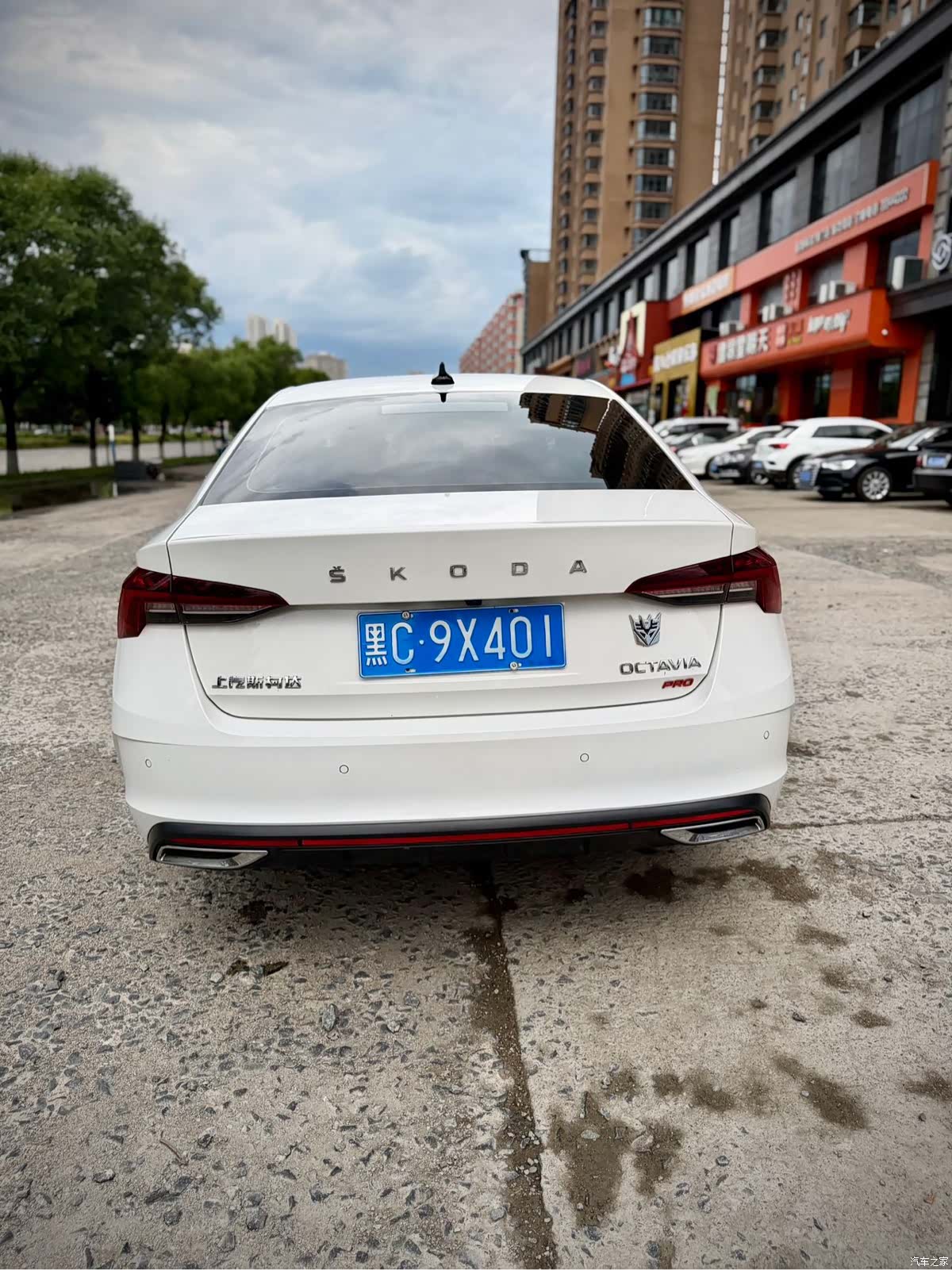 Skoda Octavia, 2022 все фото