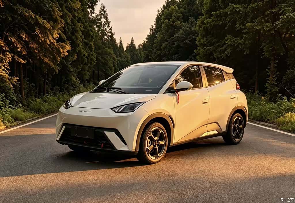 BYD Seagull, 2024 2