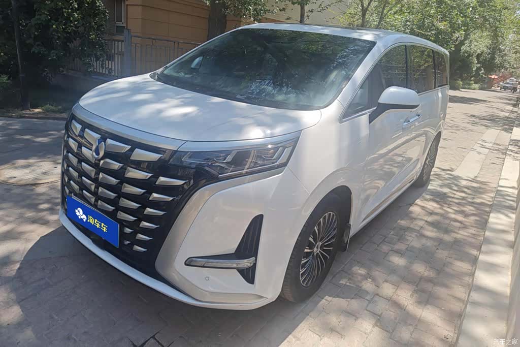 Denza D9