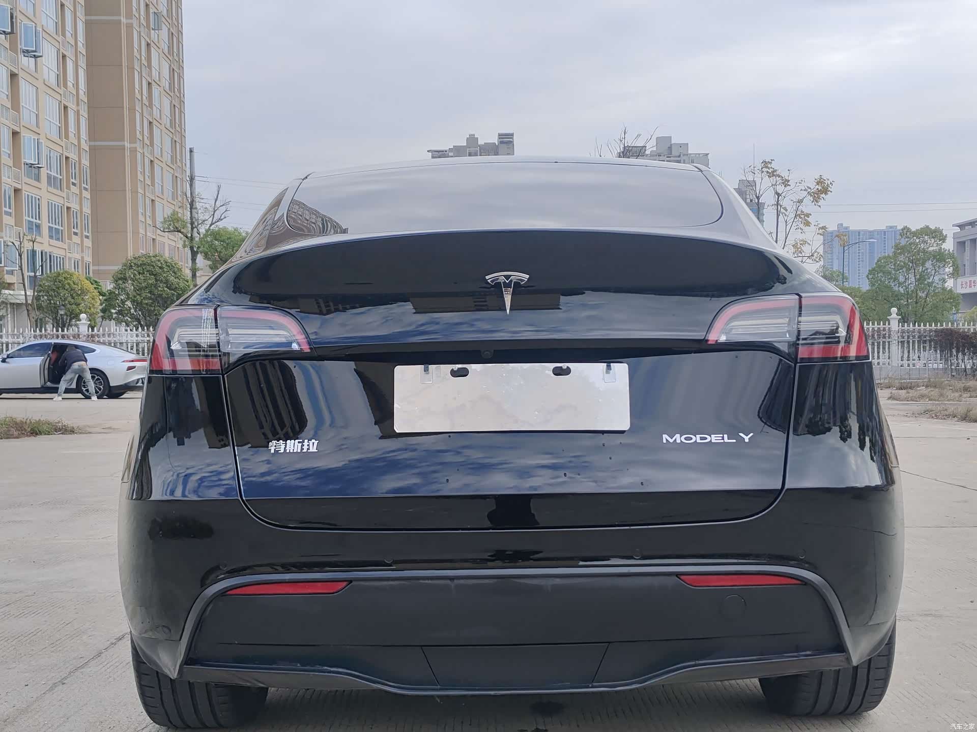Tesla Model Y, 2021 все фото