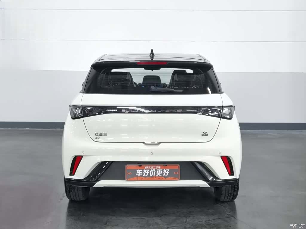BYD Dolphin, 2023 4