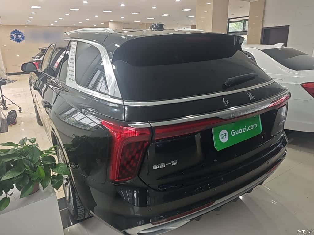 Hongqi E-HS9, 2023 все фото