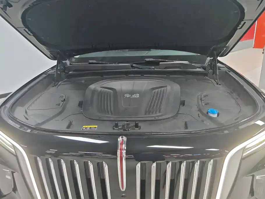 Hongqi E-HS9