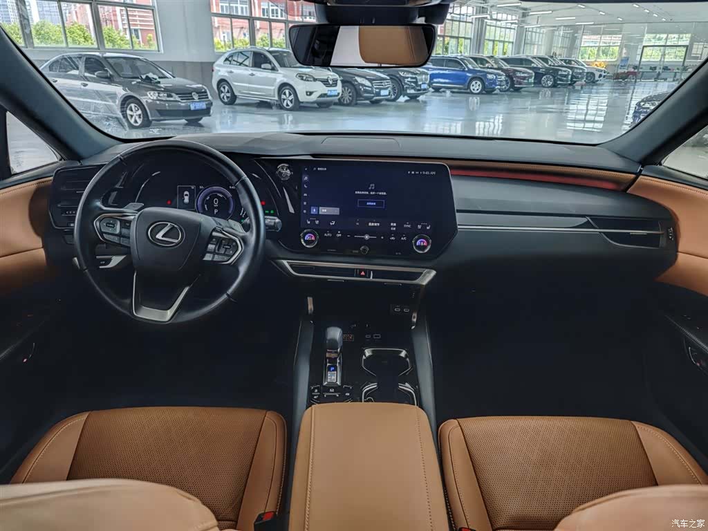 Lexus RX, 2023 9