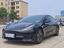Model 3 2021�� ��׼�������������� 3D6
