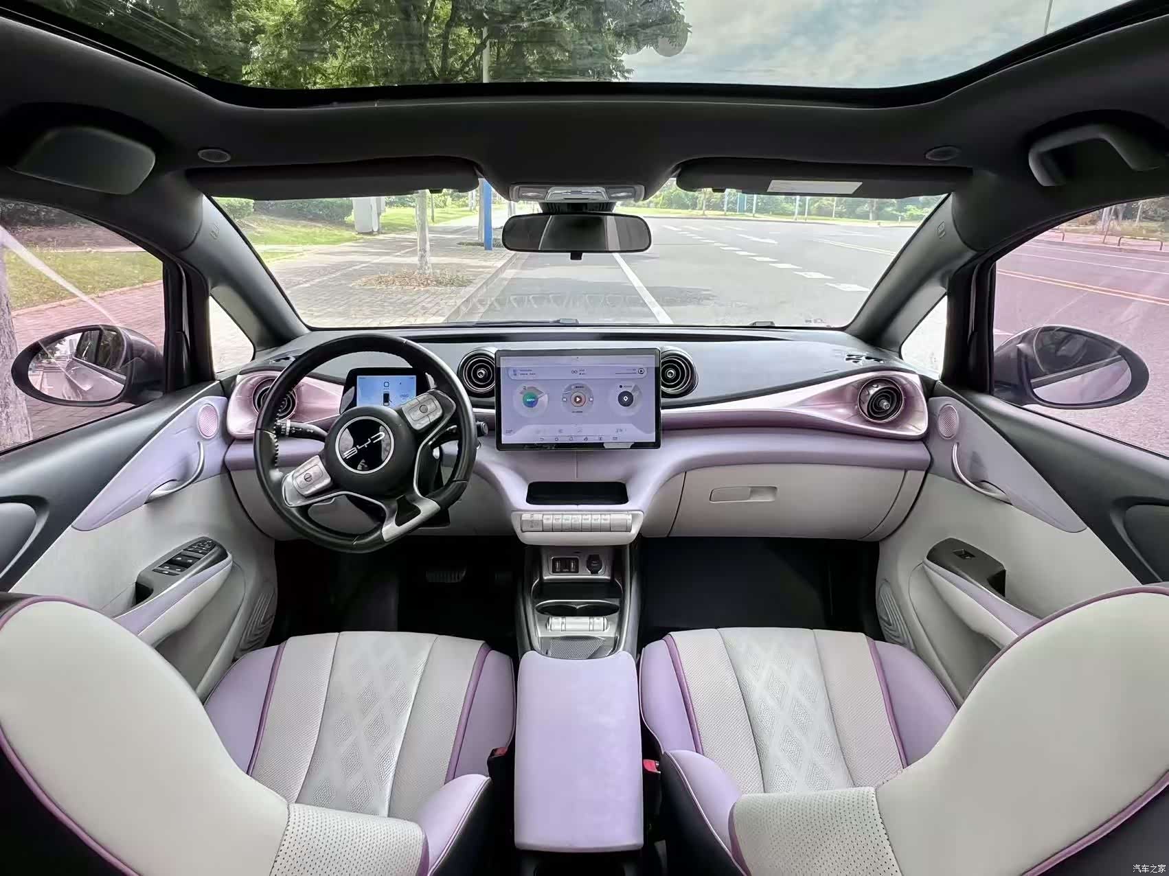 BYD Dolphin, 2023 12