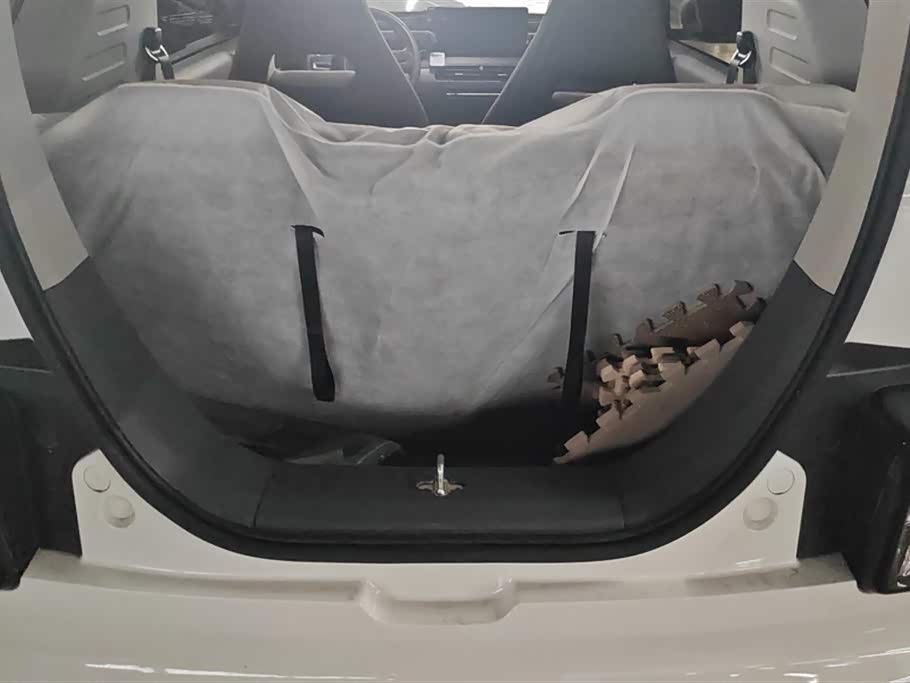 Geely Galaxy panda Geely Galaxy panda