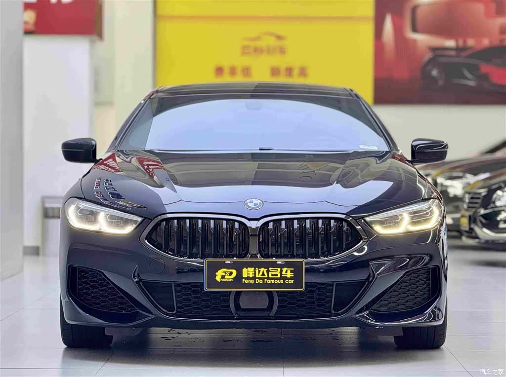 BMW 8 Series, 2020 4