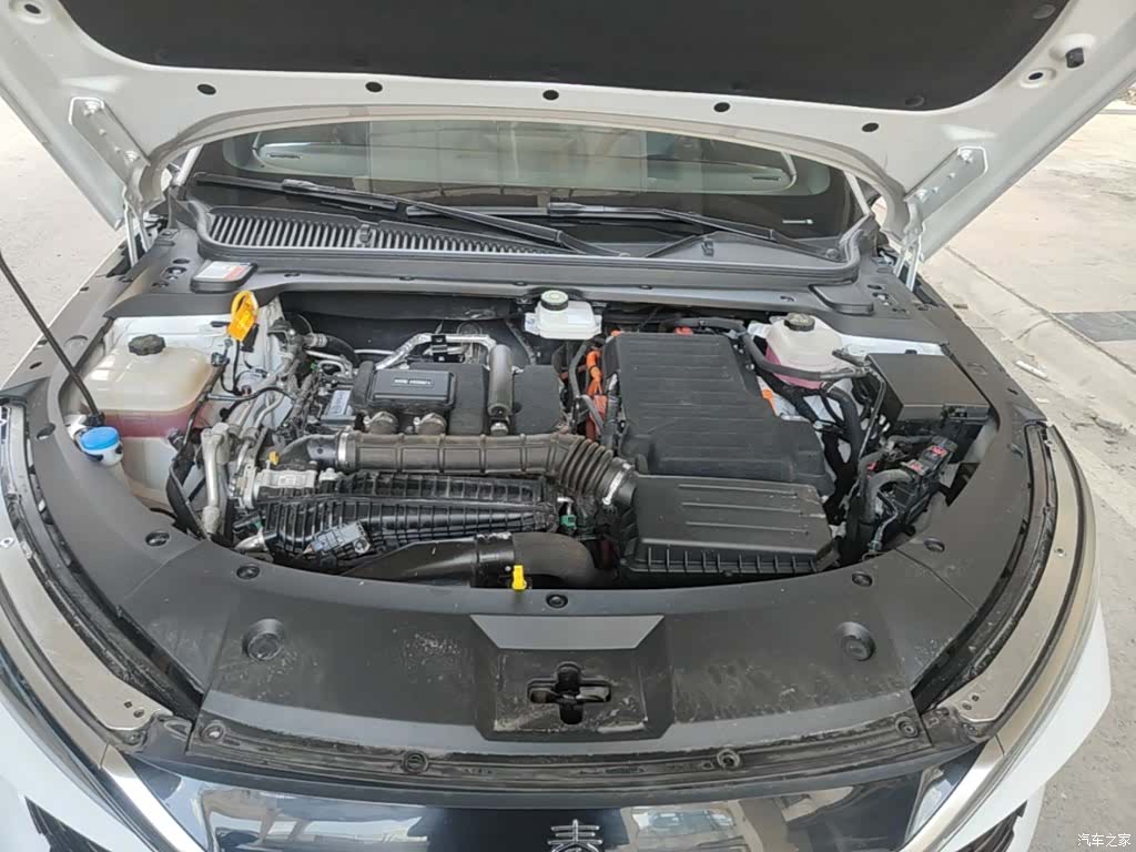 BYD Qin, 2024 20