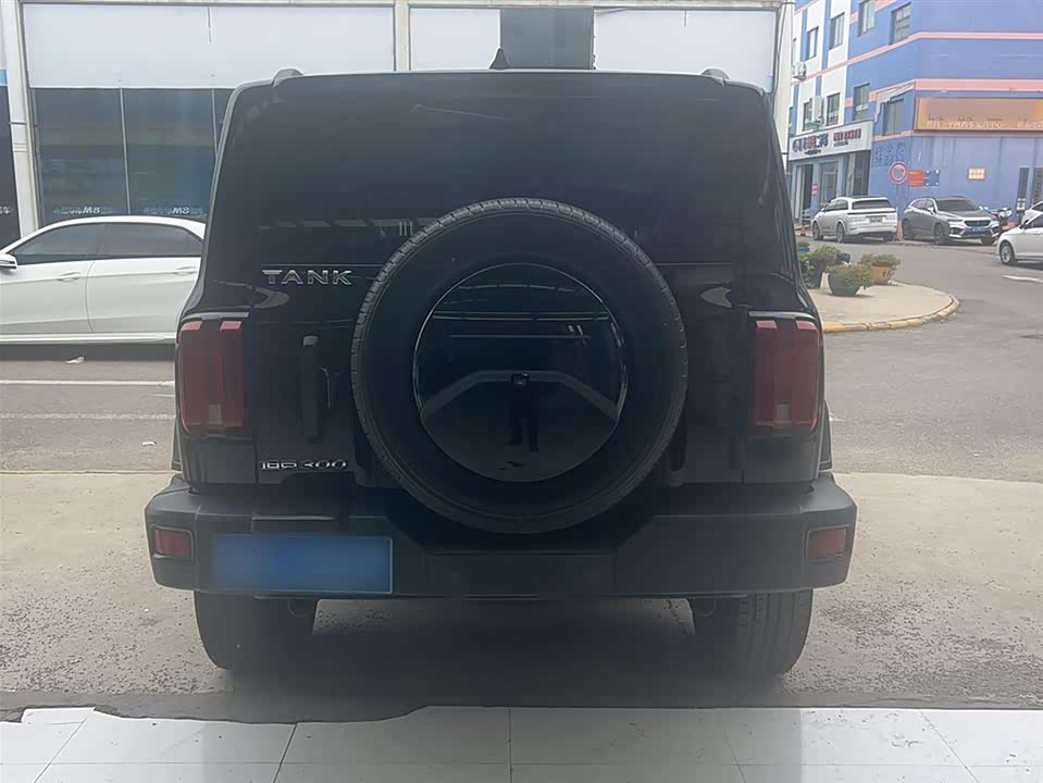 Tank 300 Tank 300