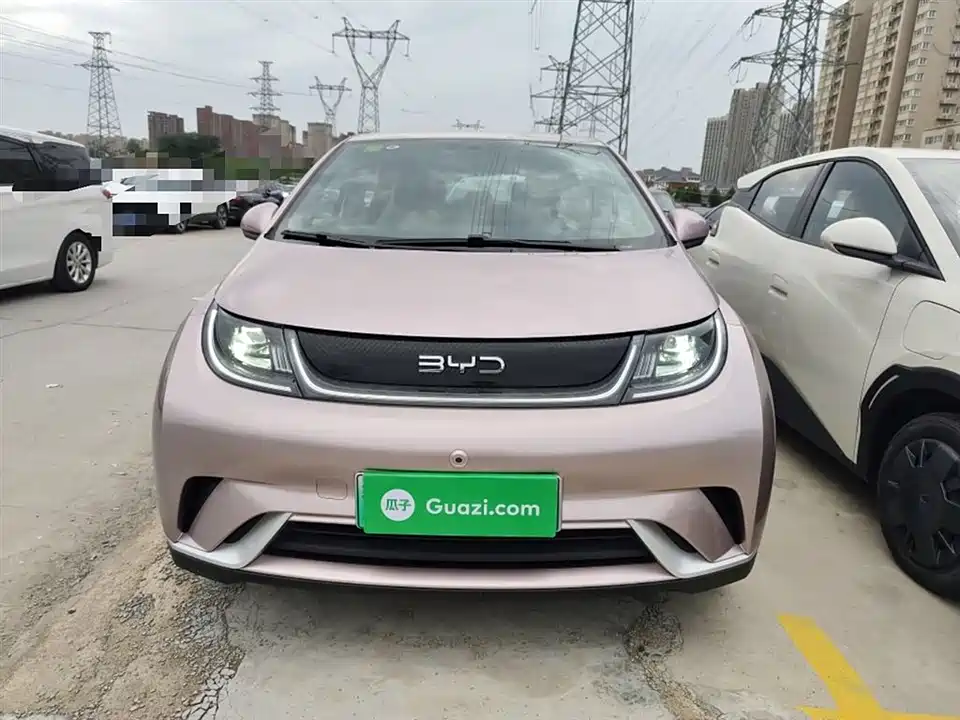 BYD dolphin