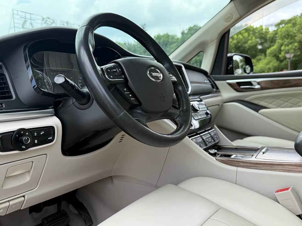 Trumpchi Trumpchi M8 Trumpchi Trumpchi M8
