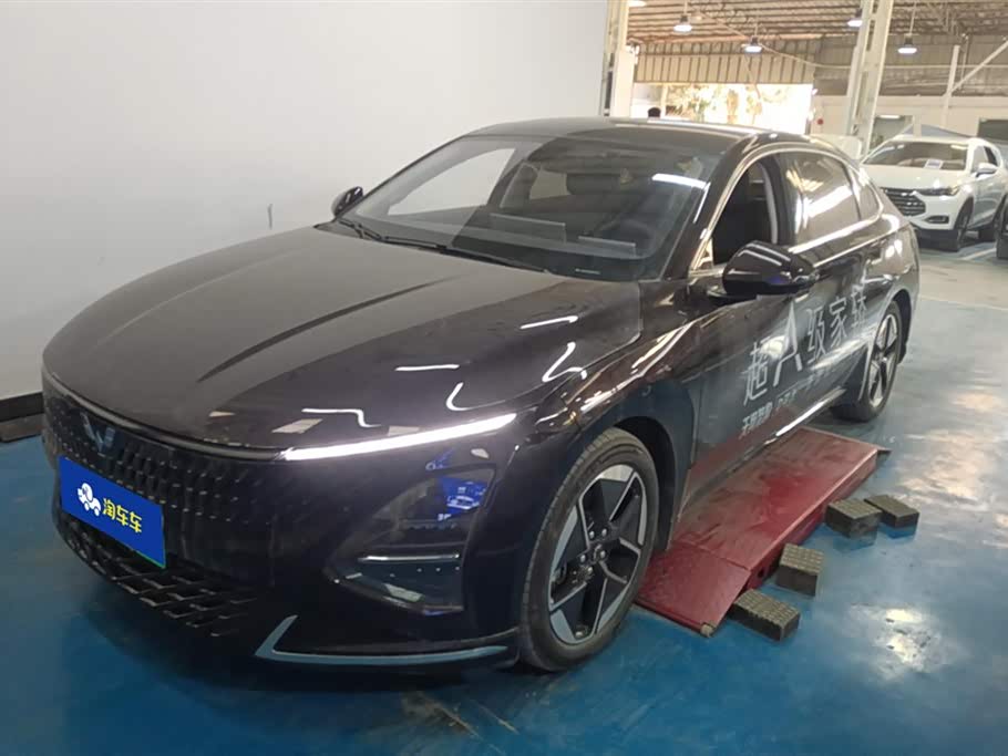 Wuling Wuling Starlight