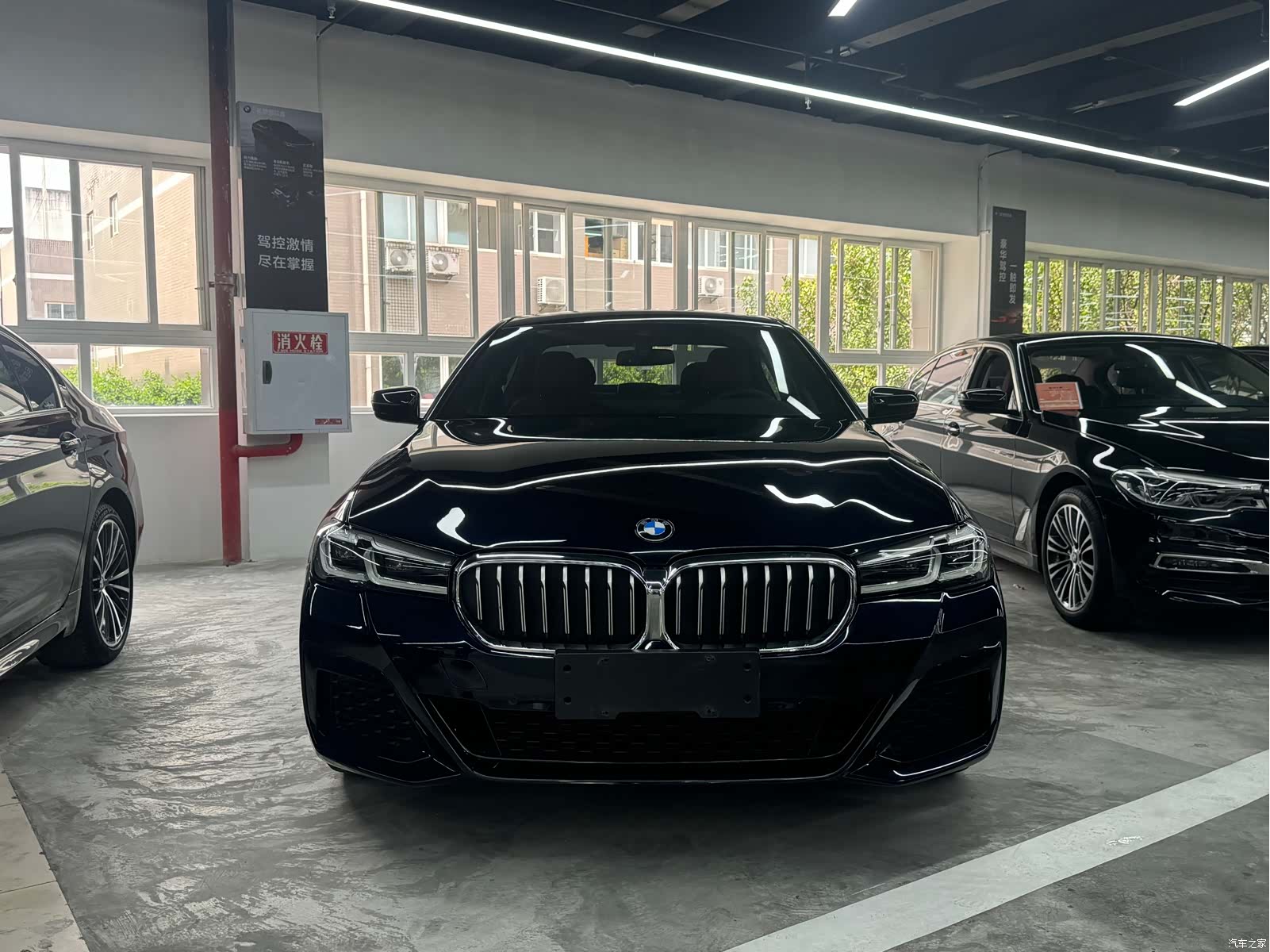 BMW 5 Series, 2022 2