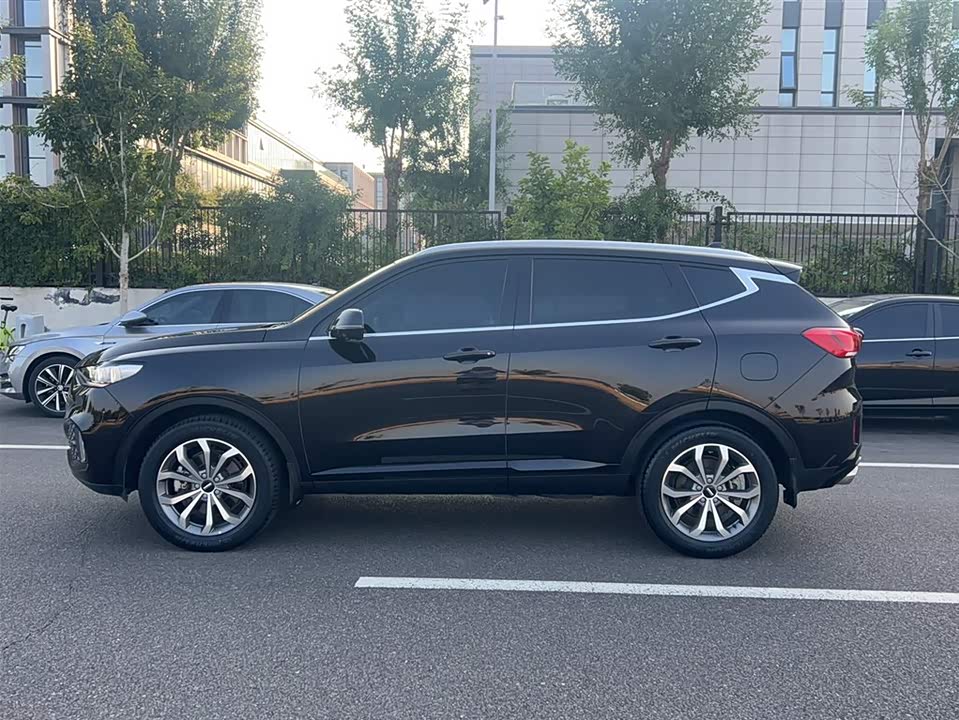 Weipai VV6