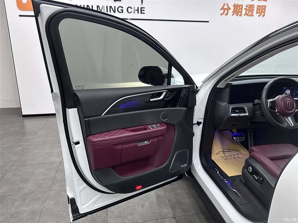 Hongqi E-HS9, 2023 6