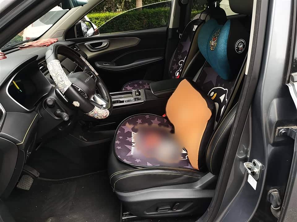 Roewe RX5 New energy