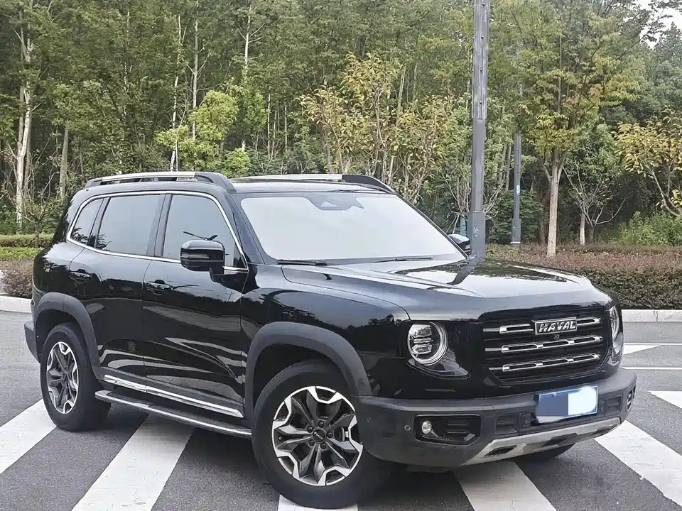 Haval Big dog