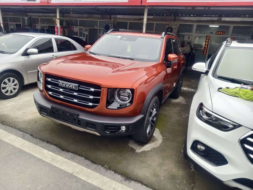Haval Big dog