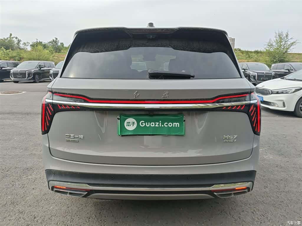 Hongqi HS7, 2024 6