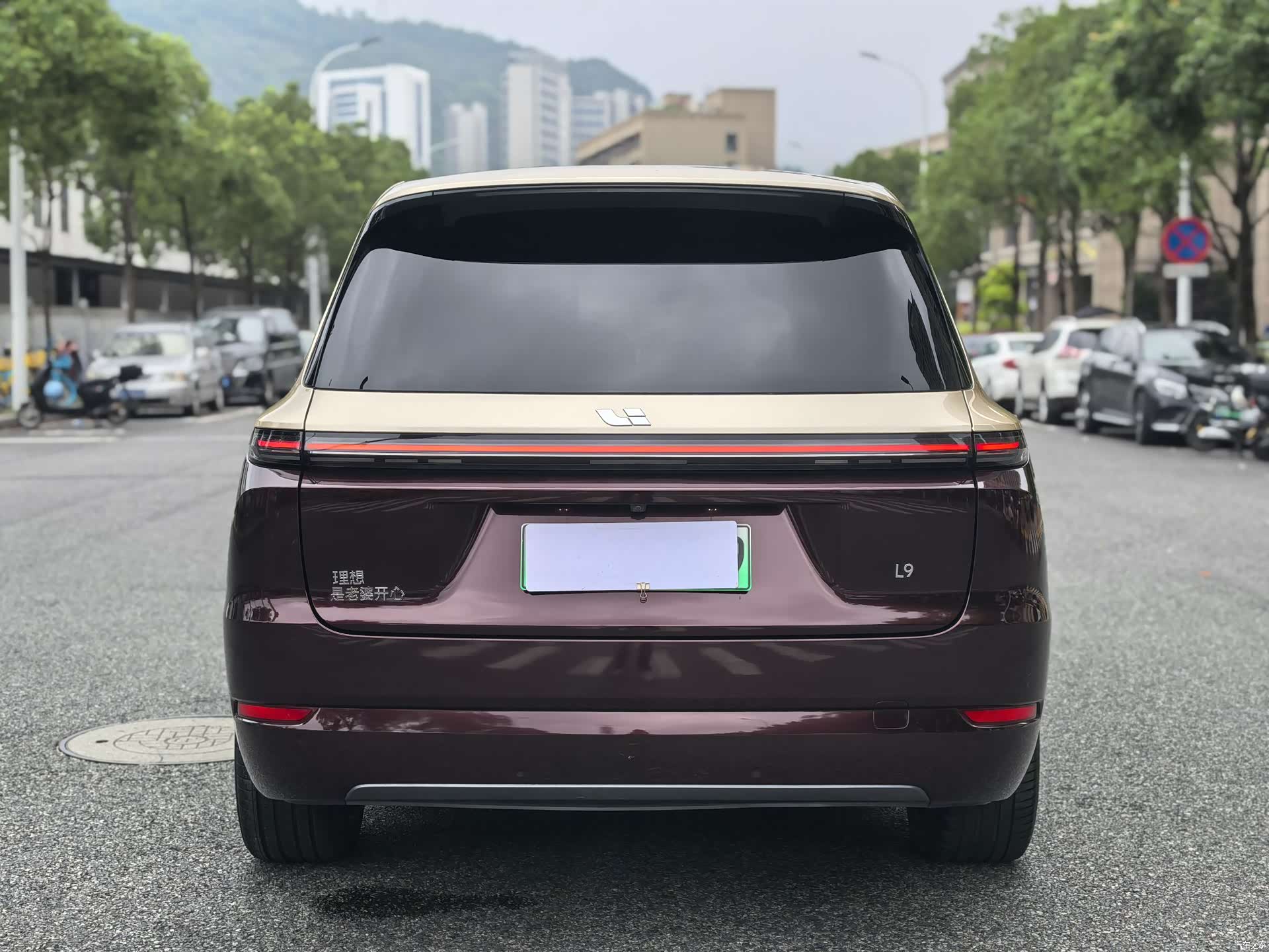 Li Auto L9, 2023 6