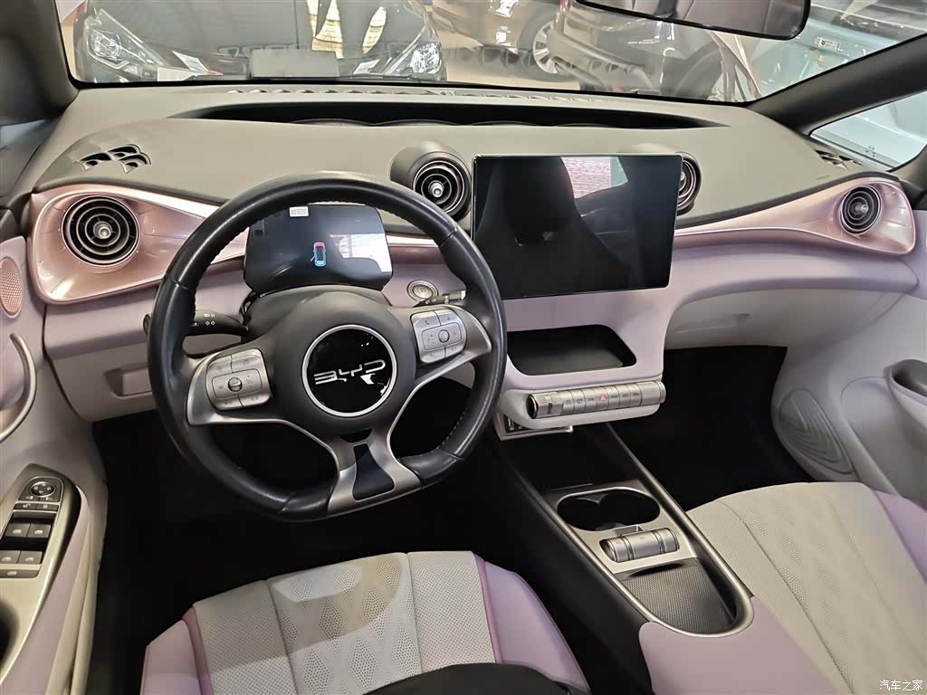 BYD Dolphin, 2023 10