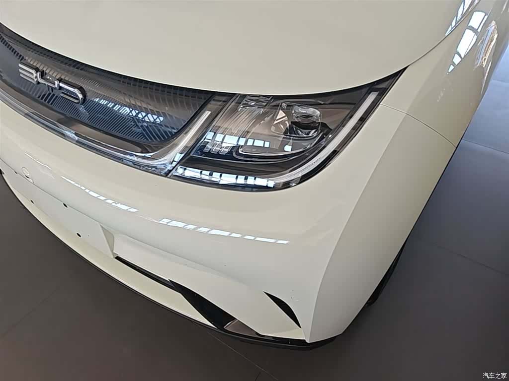 BYD Dolphin, 2023 24