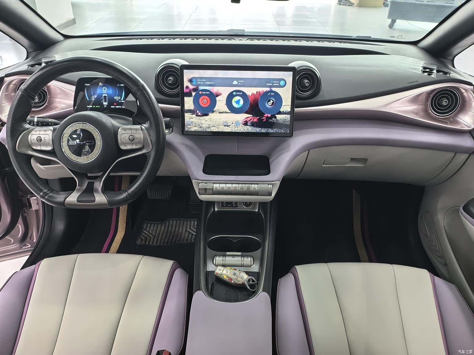 BYD Dolphin, 2022 6