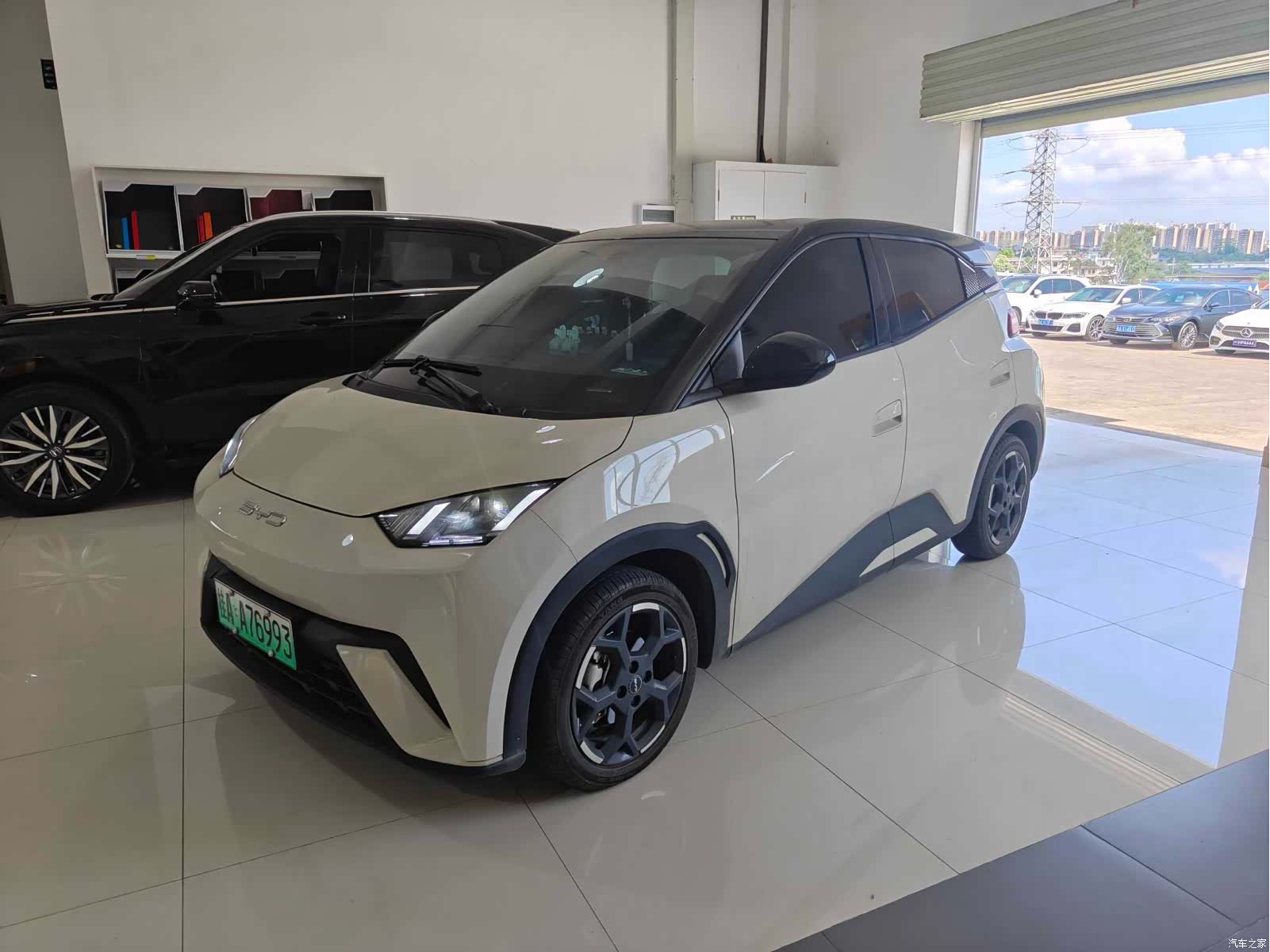 BYD Seagull, 2024 1