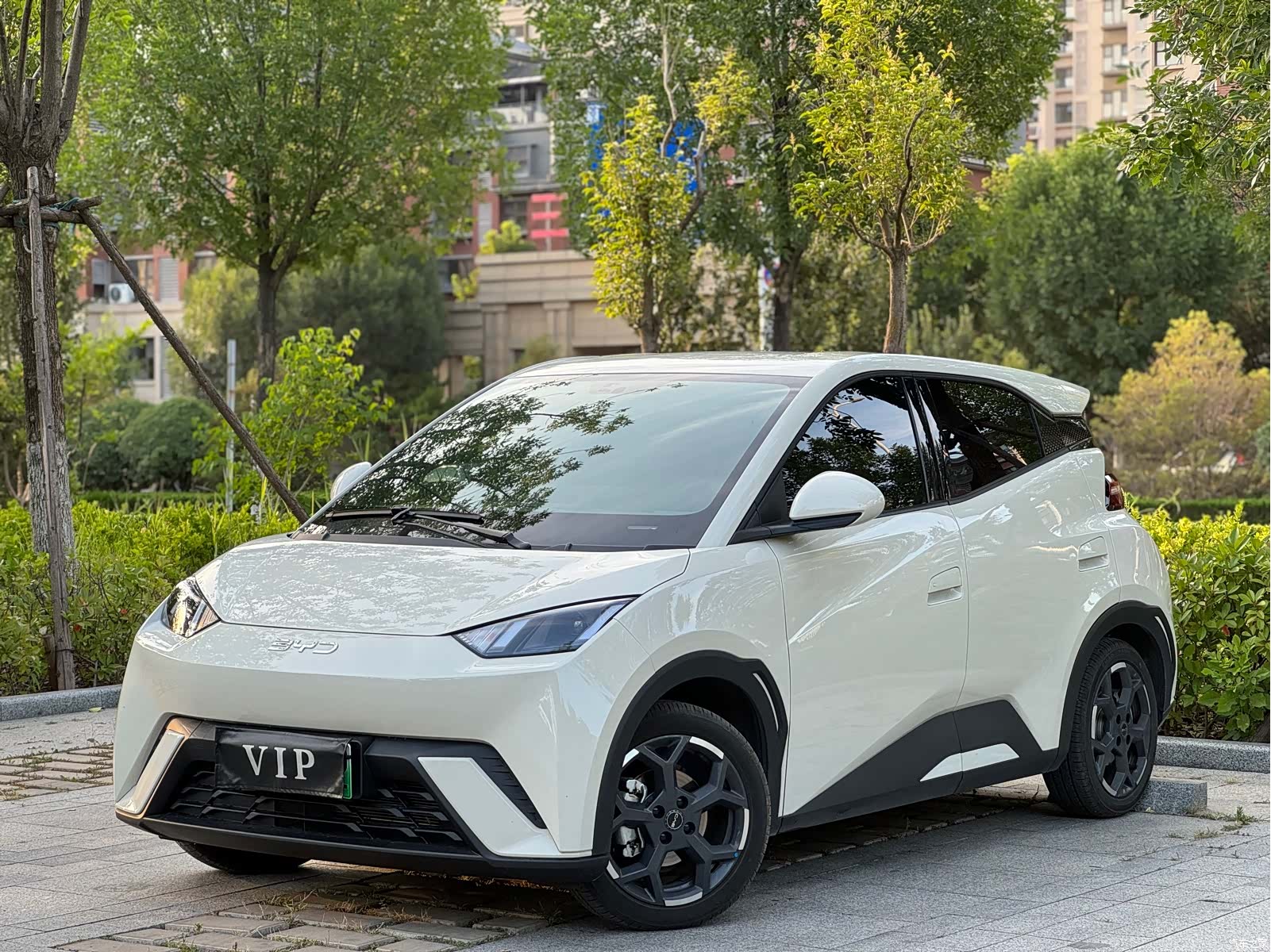 BYD Seagull, 2025 1