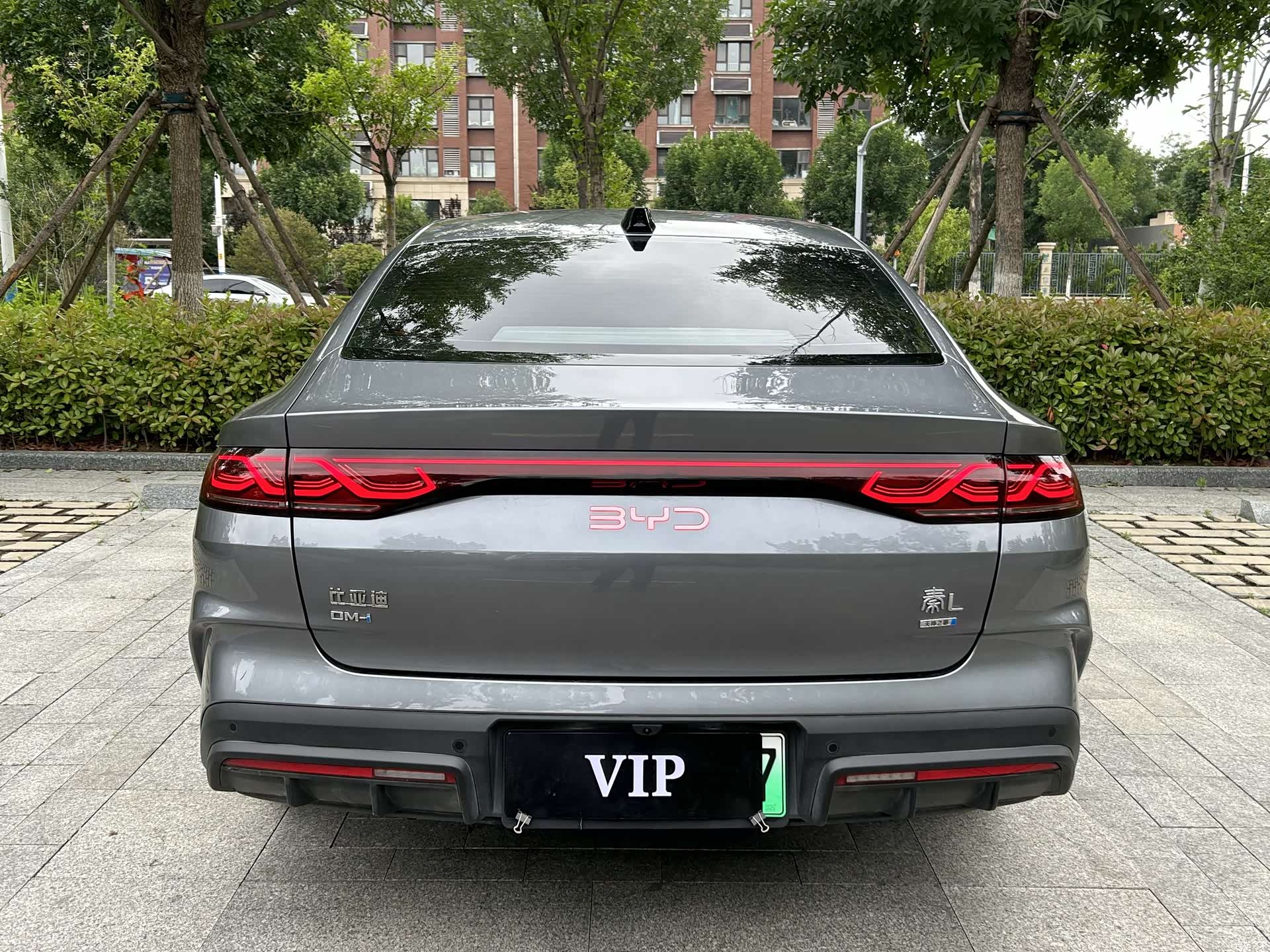 BYD Qin, 2025 все фото