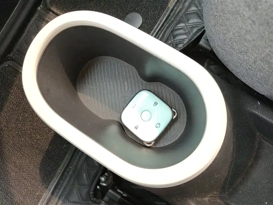 Cowin Picking up the moon